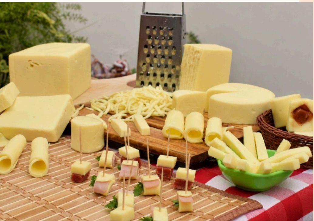 Queso mozzarella entero premium
